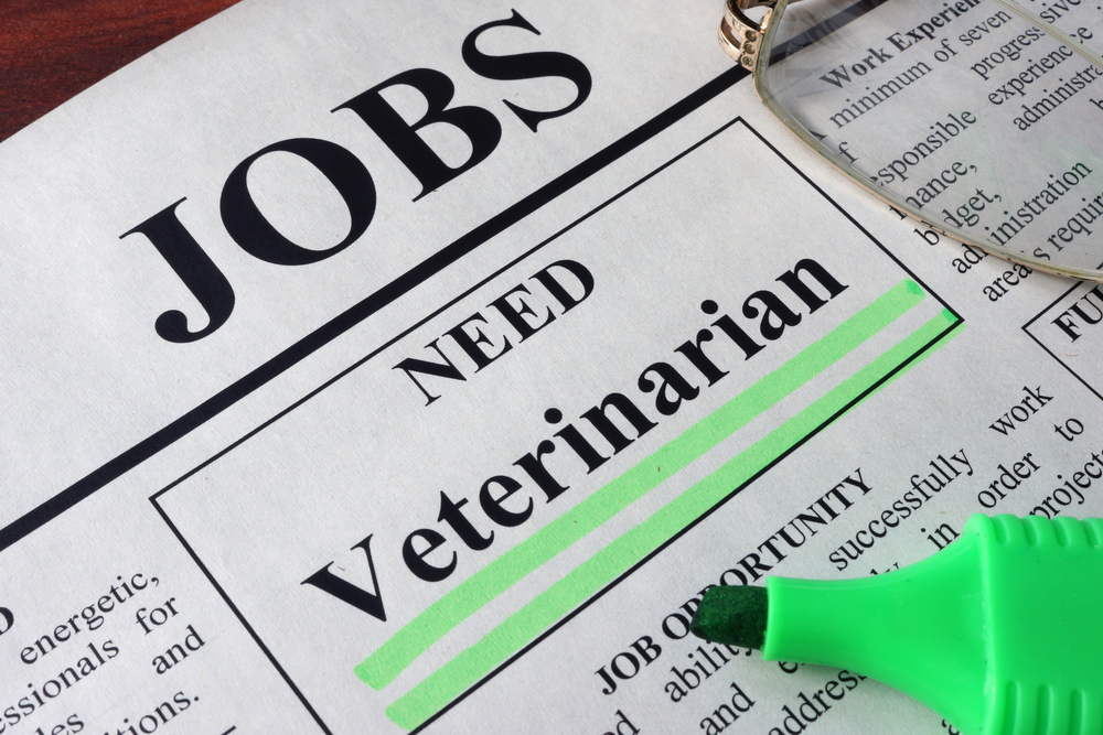 Looking For A Job In Veterinary Medicine? Look For A Practice That ...