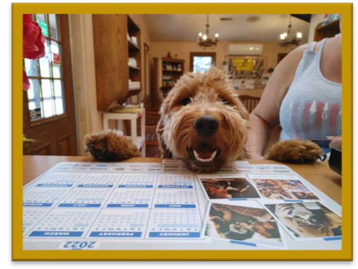 a dog with its mouth open on a table with calendars